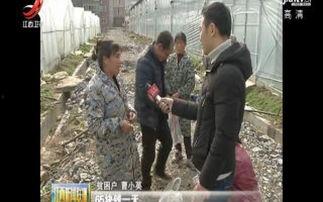 再见金钱，前往贫困村