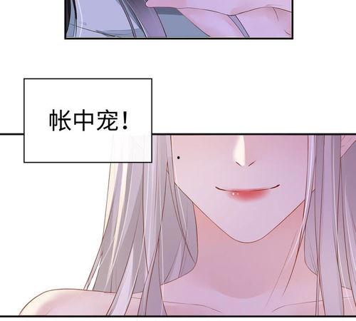 裙下臣,宫廷权谋与女性力量的传奇故事