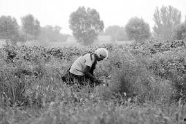 大地母亲,探寻自然与生命的和谐交响