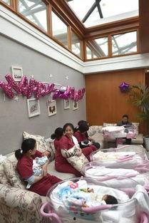 顶楼的秘密（月子中心的顶楼）,揭秘隐秘的温馨角落